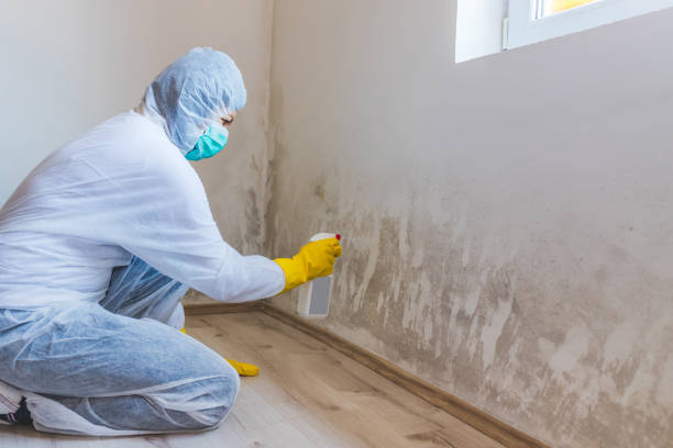 Licensed Attic Mold Remediation service in Joint Base Mdl, NJ - Mold Remediation HQ