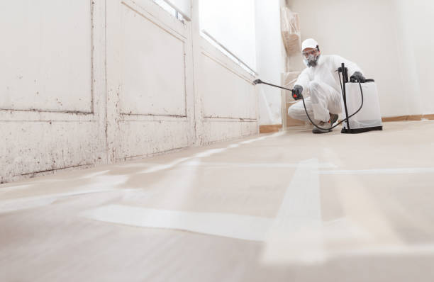 24/7 Emergency Attic Mold Remediation experts in Joint Base Mdl, NJ