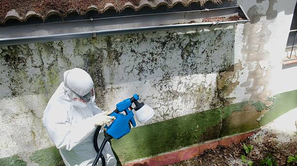Top rated local Attic Mold Remediation specialists in Joint Base Mdl, NJ